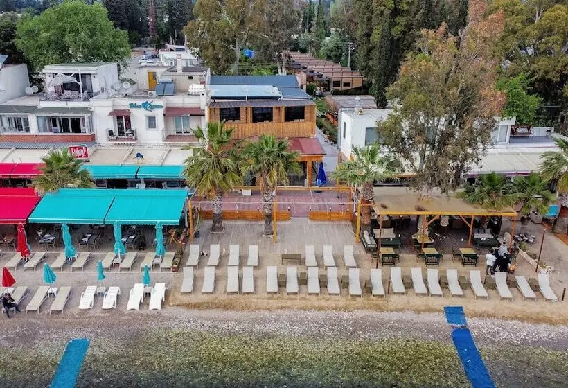 Bitez Tiny House