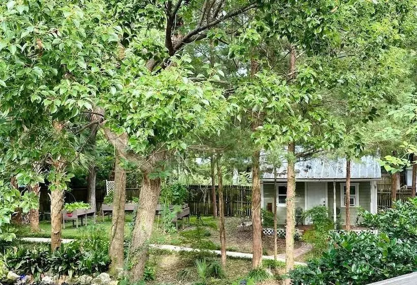 Grady House Bed & Breakfast