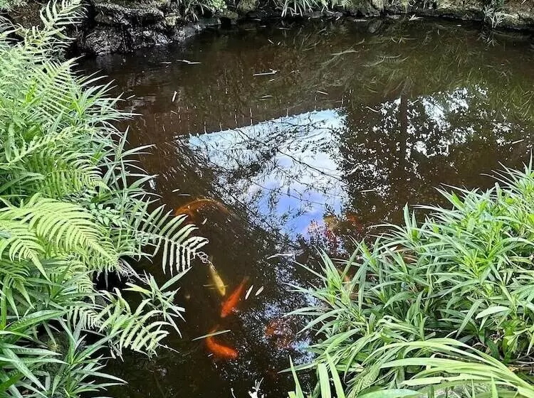 Grady House Bed & Breakfast