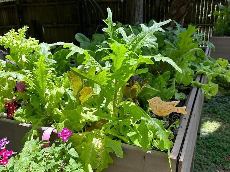 Grady House Bed & Breakfast