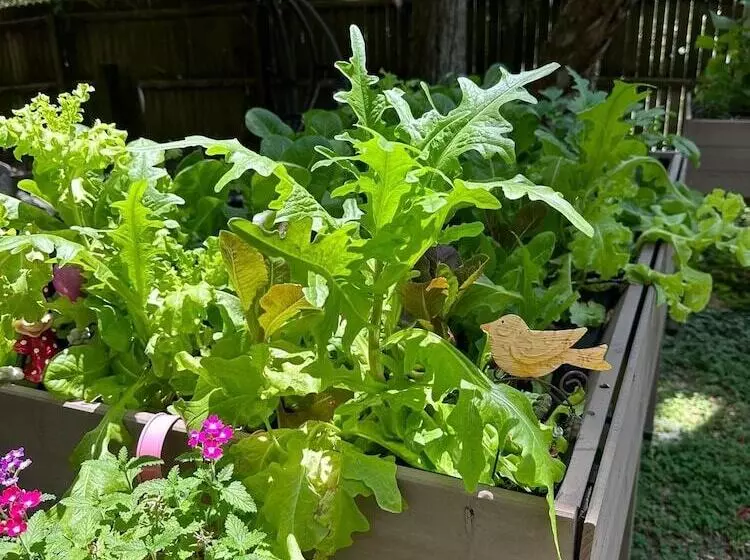 Grady House Bed & Breakfast