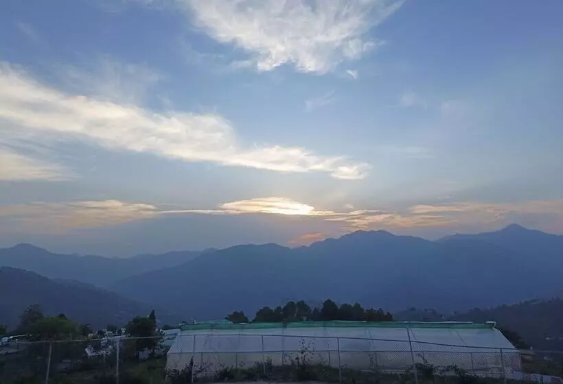 Hotelli Darbar   A Heritage Farmstay