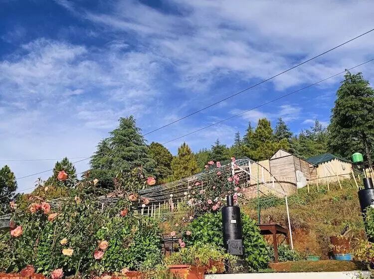 Hotelli Darbar   A Heritage Farmstay