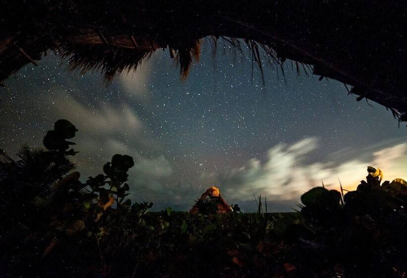 Hotel Hidden Treehouse Tulum Eco