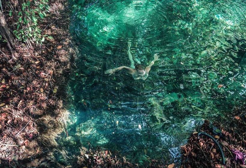 Hotel Hidden Treehouse Tulum Eco
