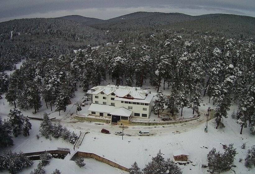 فندق Lagoon Palace