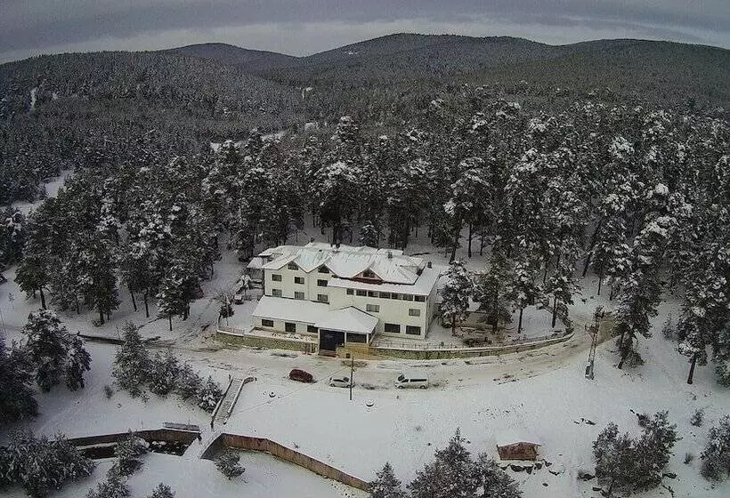 Hotelli Lagoon Palace