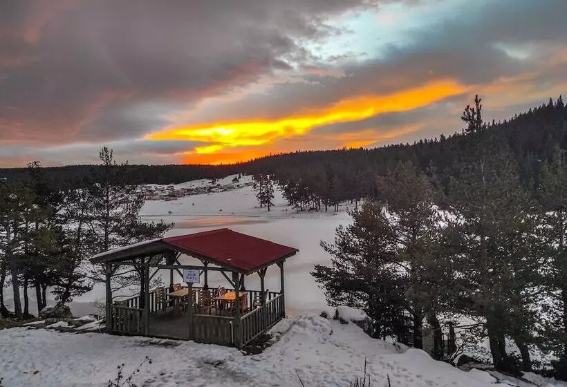 Hotelli Lagoon Palace