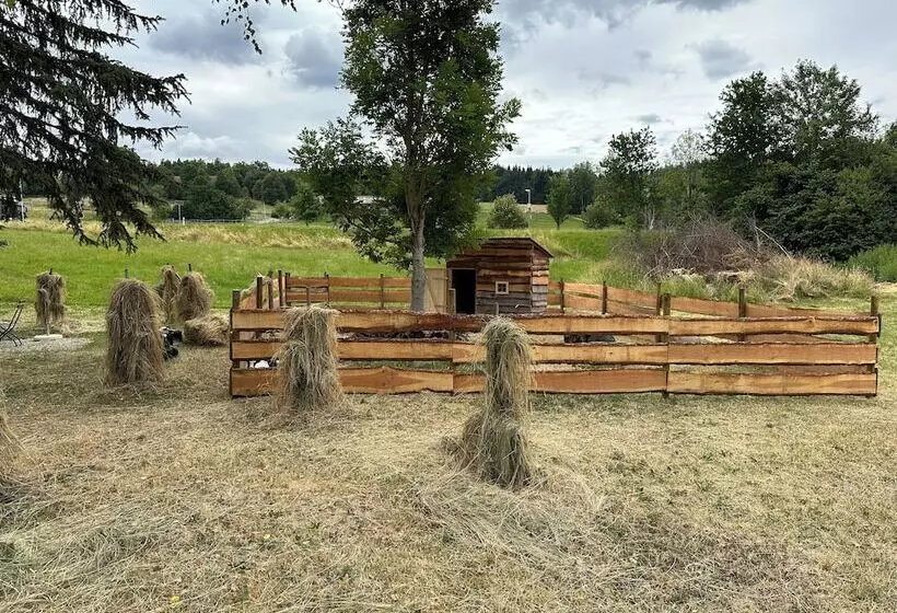 Hotelli Zum Bayrischen Wirt