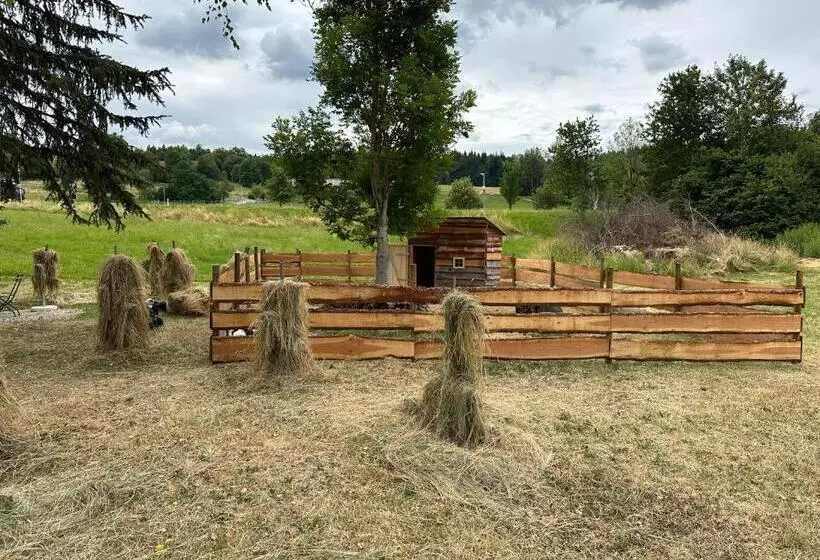 Hotelli Zum Bayrischen Wirt