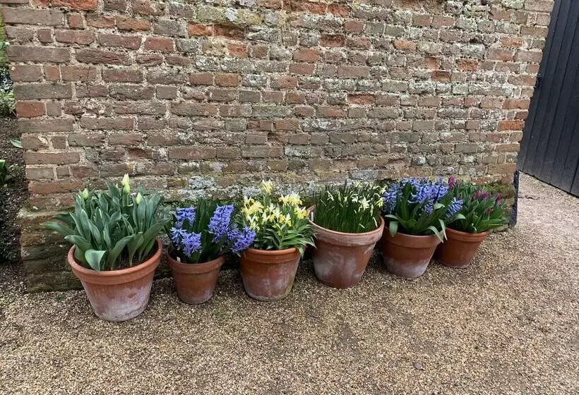 Residenssi Stunning 3 Bed House In Saffron Walden