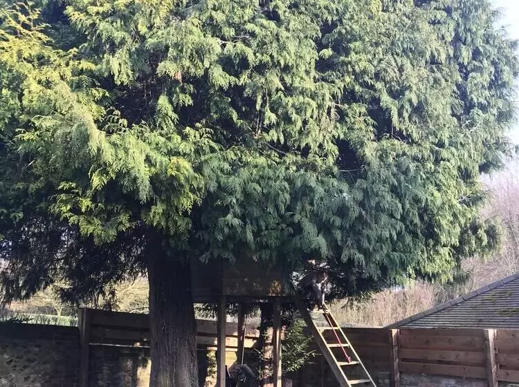 Residenssi Stunning 3 Bed House In Saffron Walden