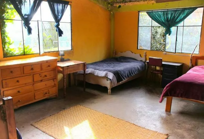 ユースホステル El Terreno Community Hostal