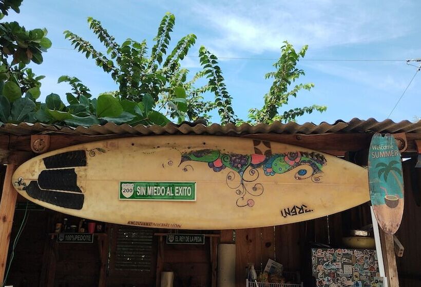 住宿加早餐  Mar De Fondo