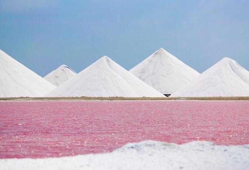 هتل Bonaire 2 Stay Playa