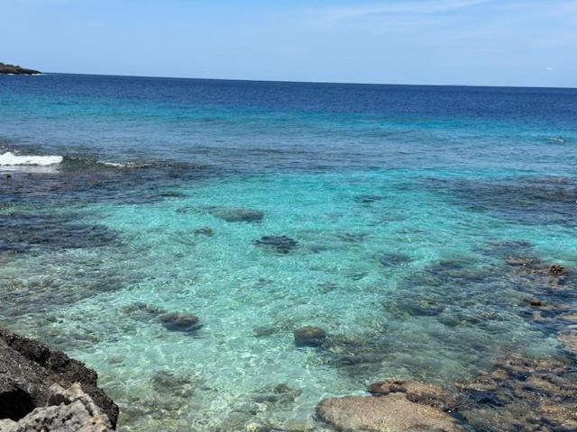 هتل Bonaire 2 Stay Playa