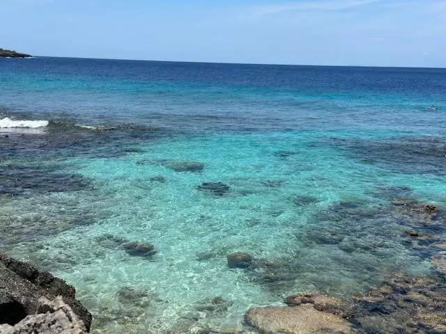 هتل Bonaire 2 Stay Playa