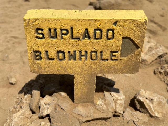 هتل Bonaire 2 Stay Playa