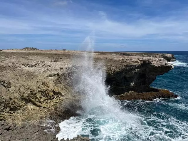 هتل Bonaire 2 Stay Playa