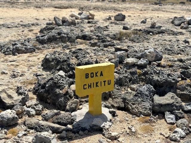 هتل Bonaire 2 Stay Playa