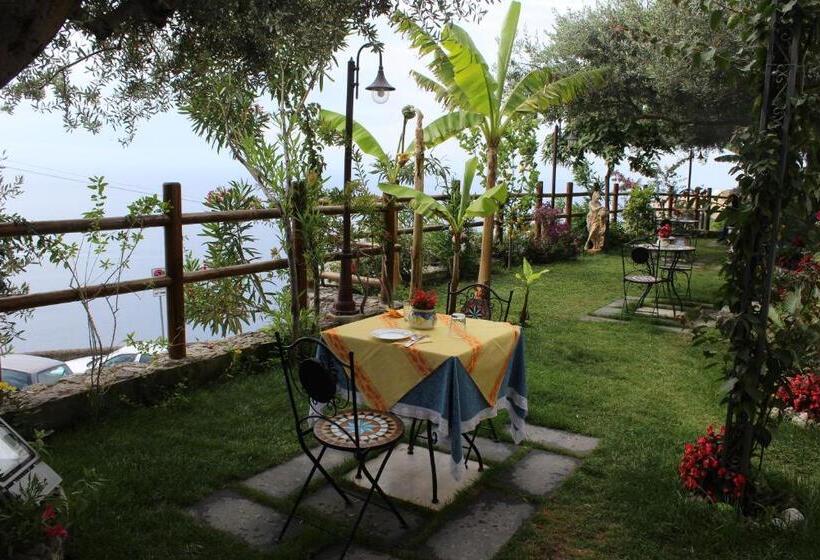 مبيت وإفطار World Center