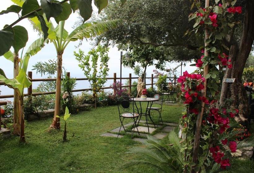 مبيت وإفطار World Center