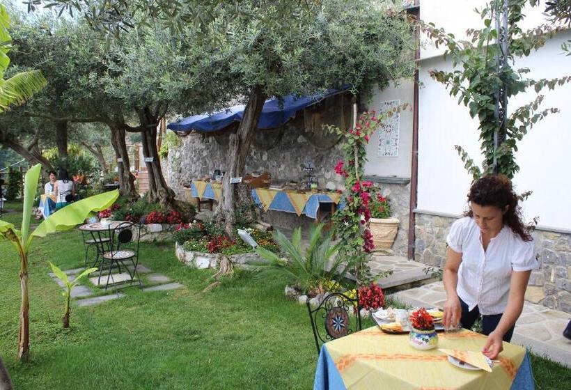 مبيت وإفطار World Center