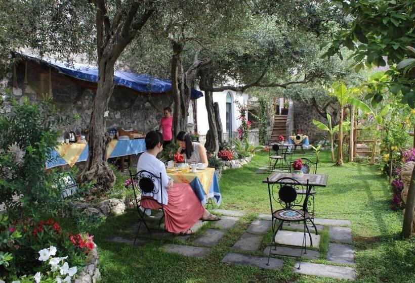 مبيت وإفطار World Center