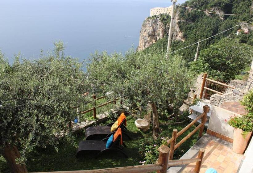 مبيت وإفطار World Center