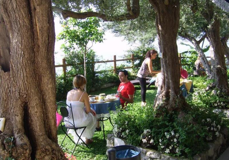 مبيت وإفطار World Center