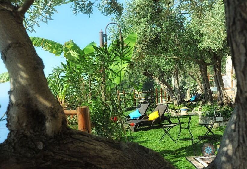 مبيت وإفطار World Center