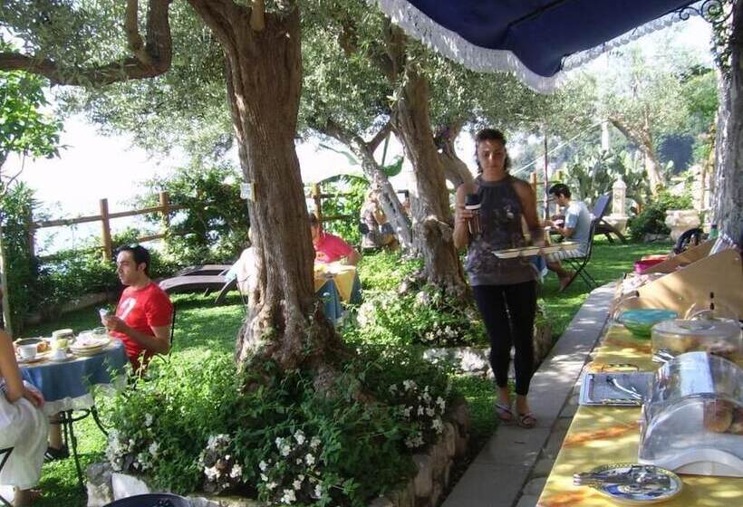 مبيت وإفطار World Center