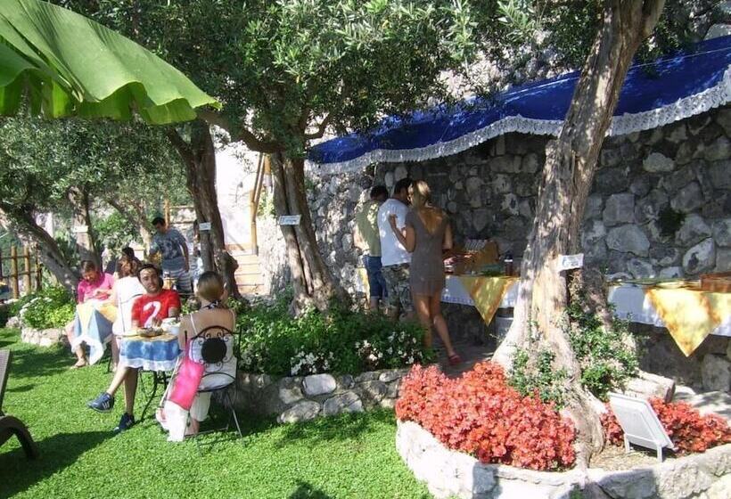 مبيت وإفطار World Center