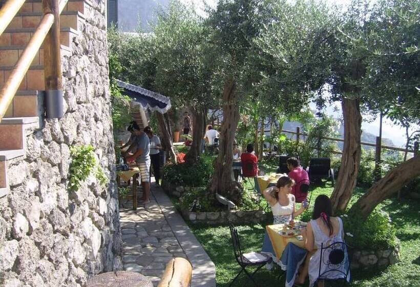 مبيت وإفطار World Center