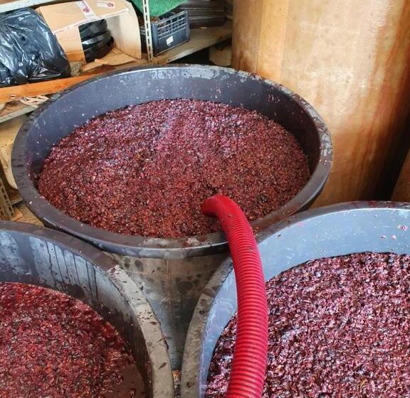 فندق Azienda Agricola Sinisi