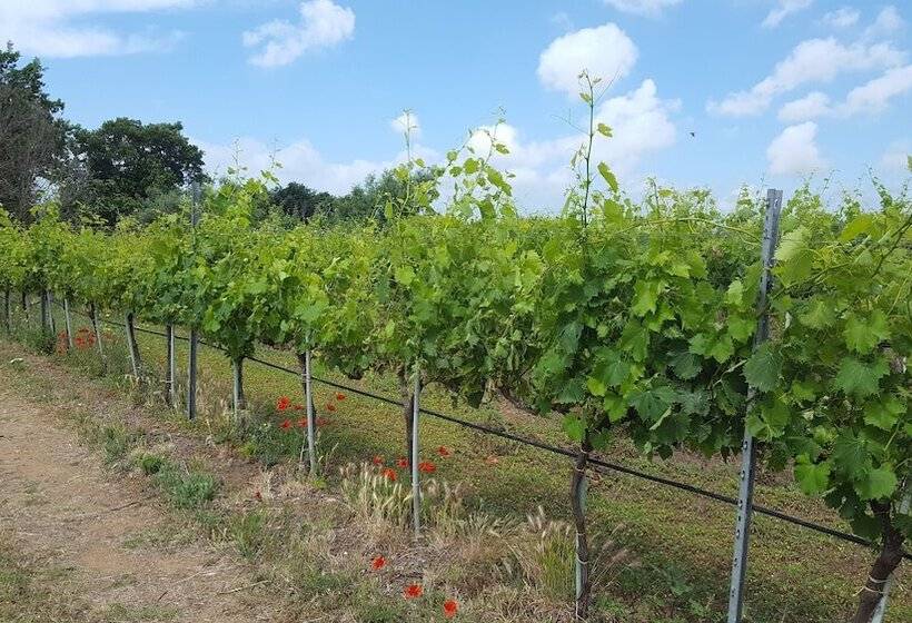 فندق Azienda Agricola Sinisi