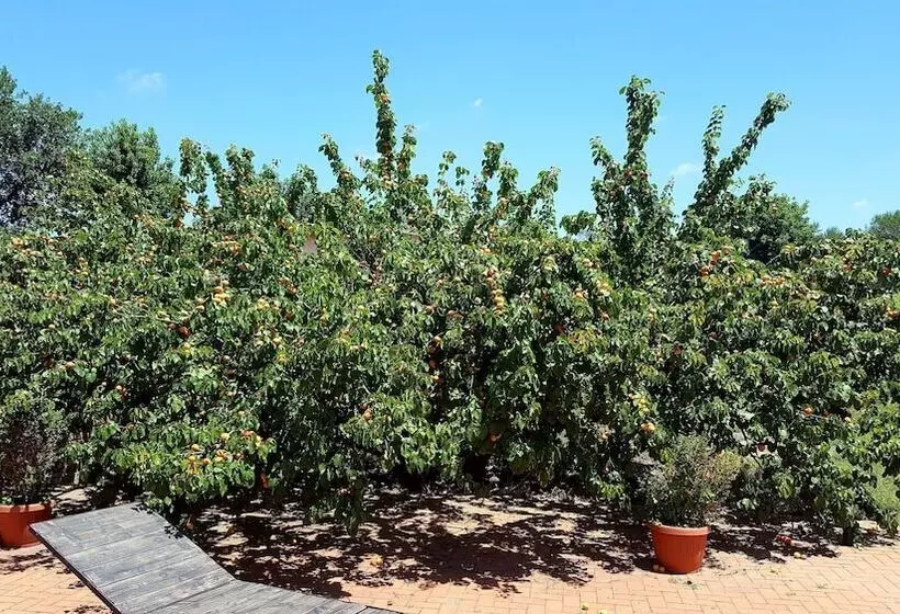 هتل Azienda Agricola Sinisi