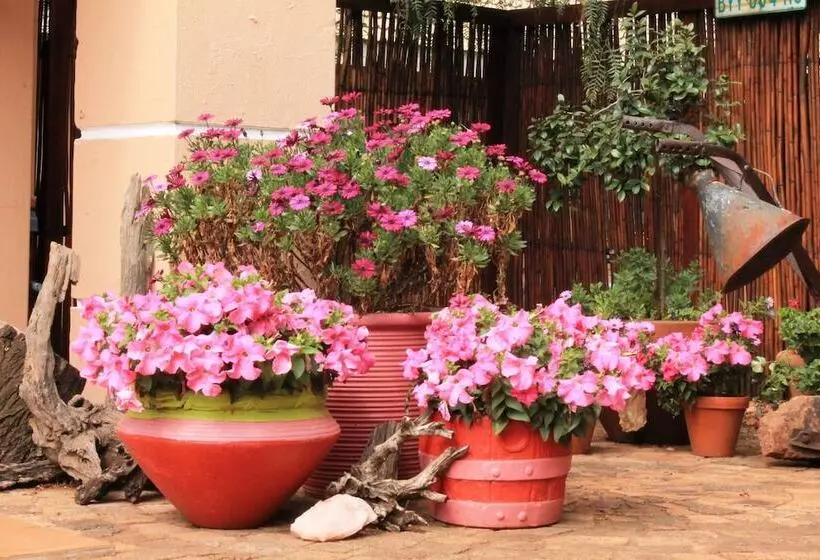 Hotelli Birdsong Guest House