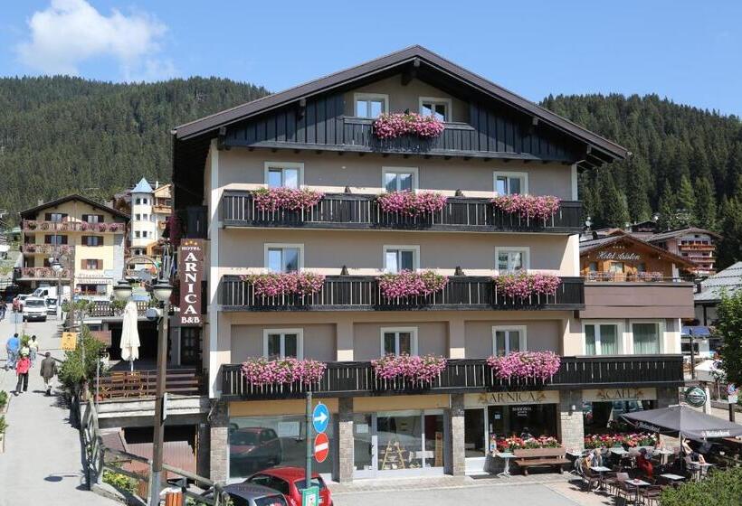 Отель Garni Arnica S