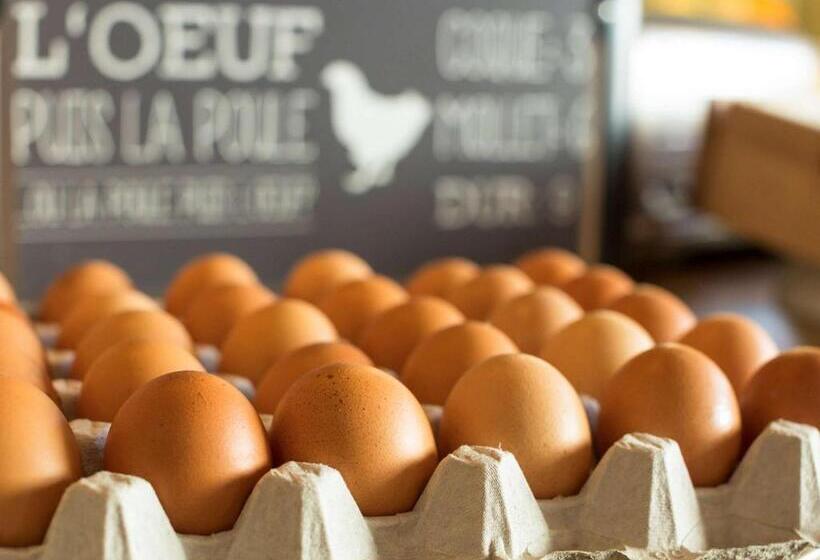 هتل Ibis Saint Quentin En Yvelines Velodrome