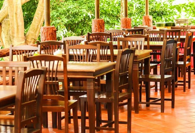 בית מלון כפרי Insda Resort Chiang Mai