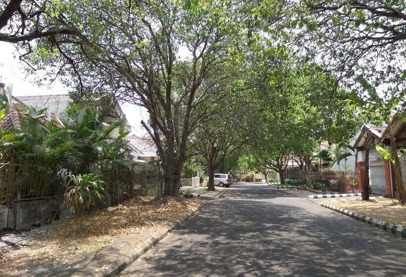 בית מלון כפרי Shinta Guesthouse