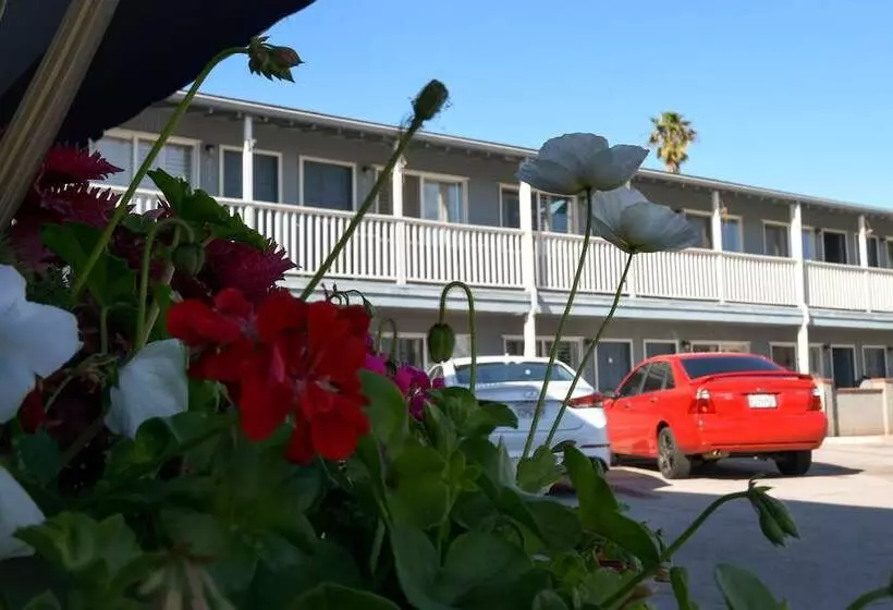 モーテル The Shores Inn
