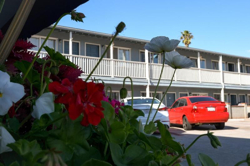 فندق على الطريق The Shores Inn