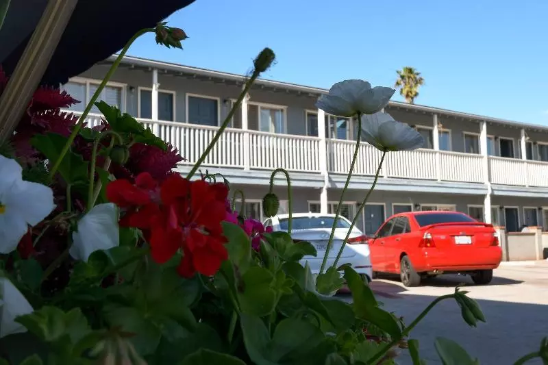 モーテル The Shores Inn