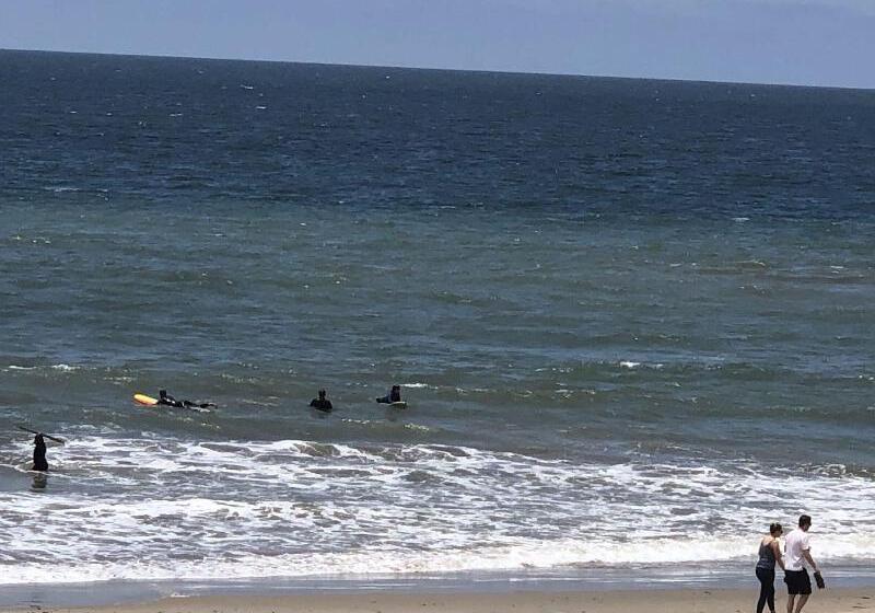 فندق على الطريق The Shores Inn