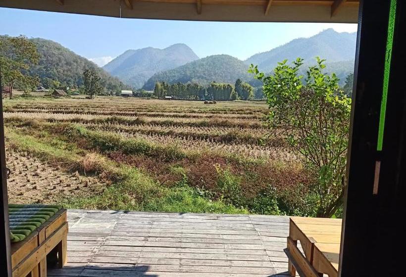 Pension Ing Doi Guest House