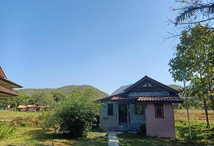 Pension Ing Doi Guest House