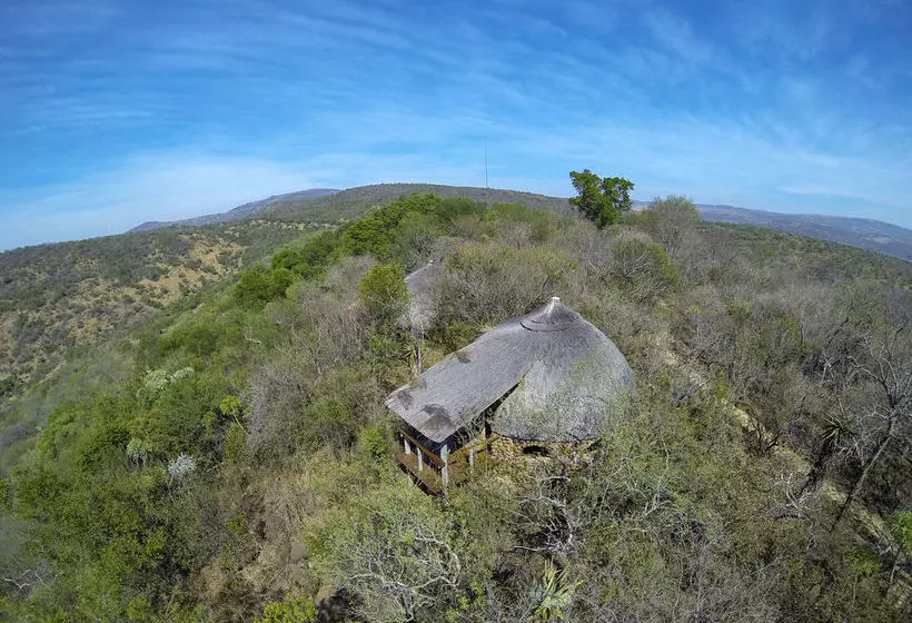 ペンション Isibindi Zulu Lodge