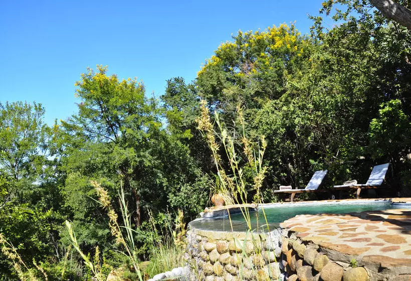 ペンション Isibindi Zulu Lodge